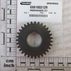 GEAR Z31