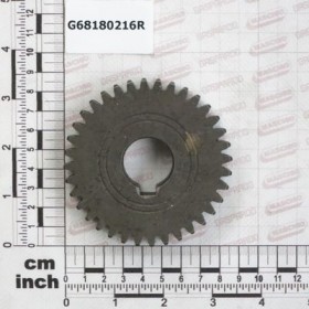 GEAR Z36