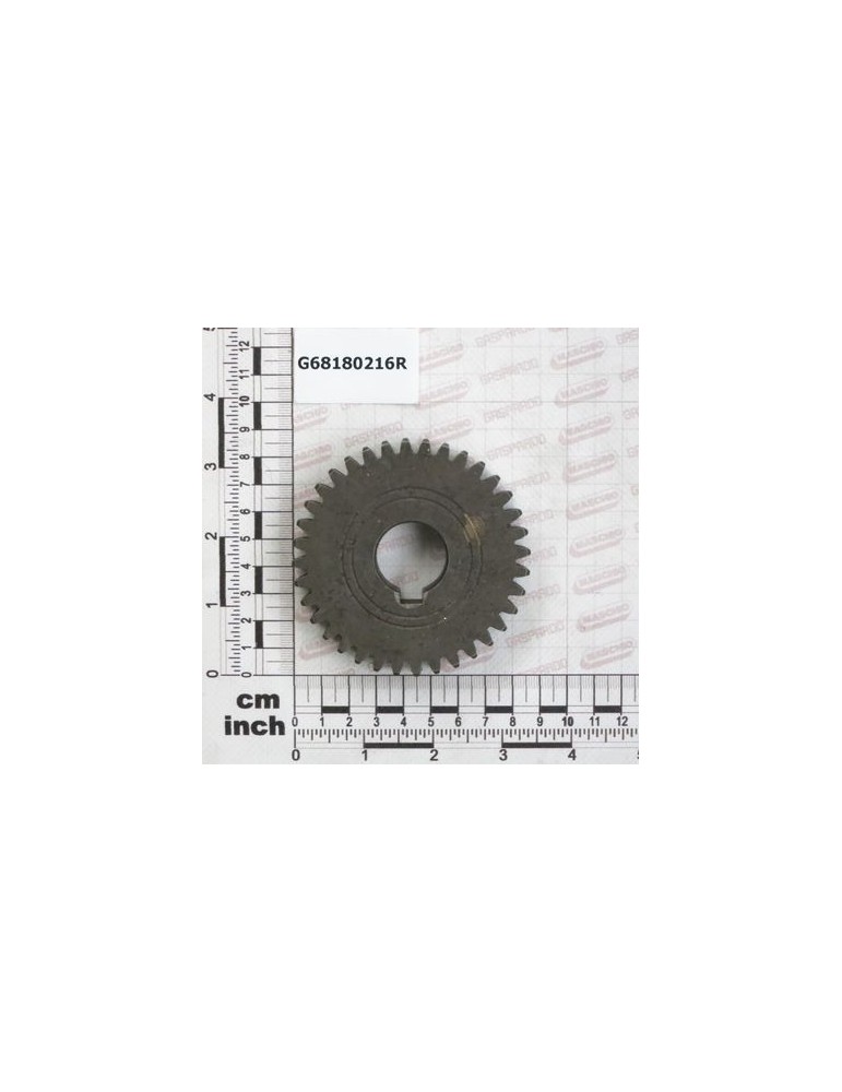GEAR Z36