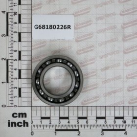 BEARING 6006 30X55X13