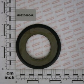 GREASE GASKET 055/100
