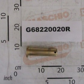MOUNT PIN