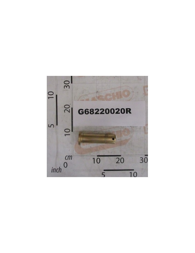 MOUNT PIN