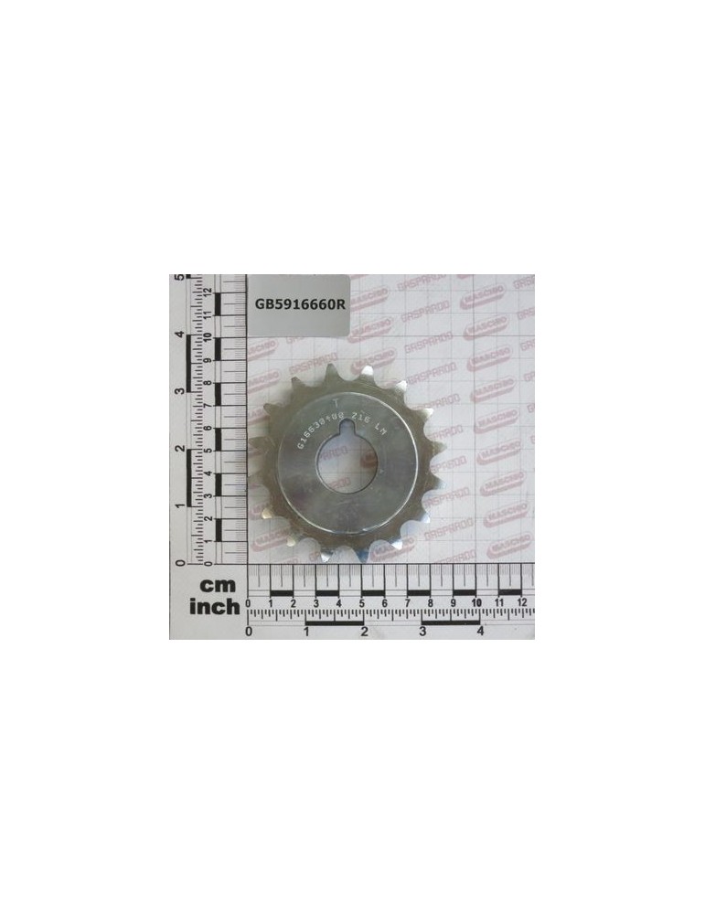 PINION  Z-16 10B-1 D.25,4   ZN