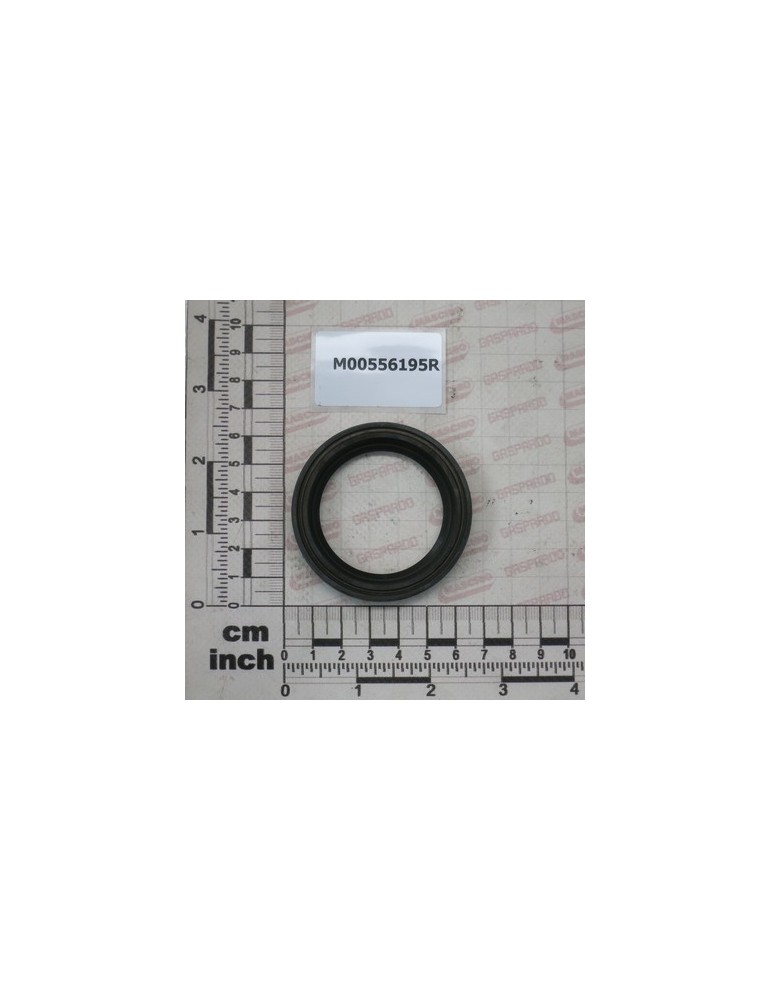OIL SEAL 45X62X10