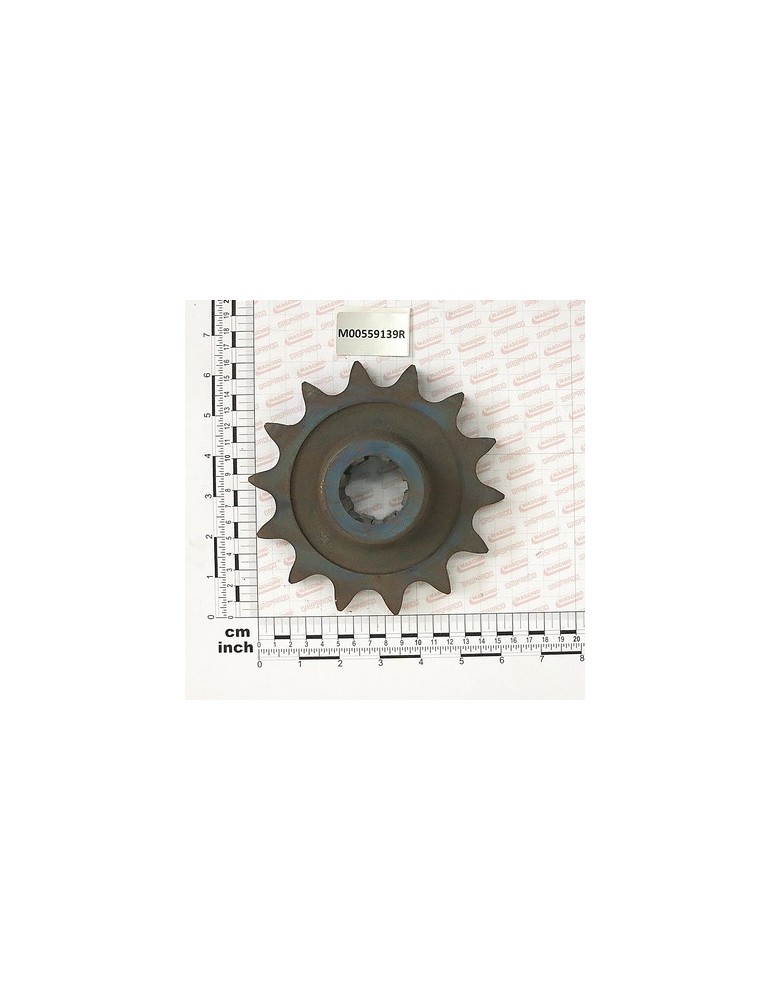 PINION