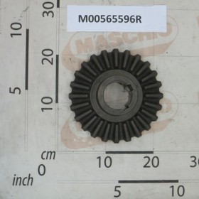 RING BEVEL GEAR