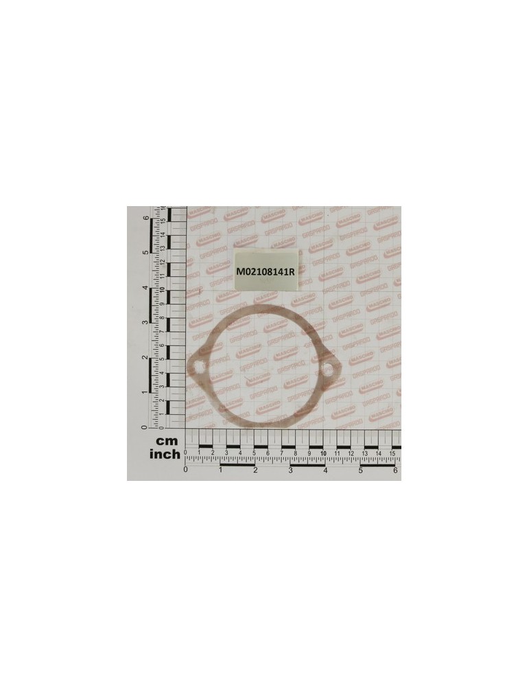 FLANGE GASKET 0,05