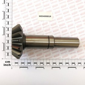 PINION BS 1000G