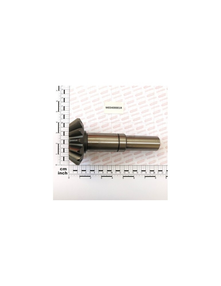 PINION BS 1000G
