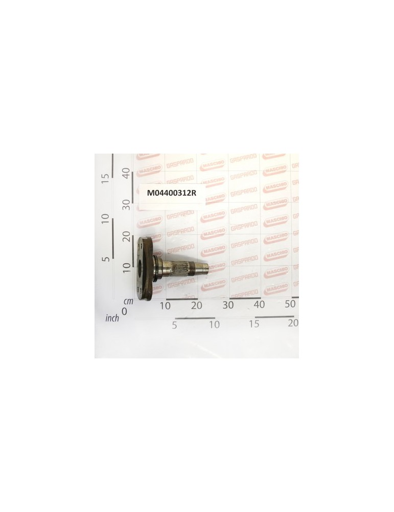 LATERAL BLADE SUPPORT
