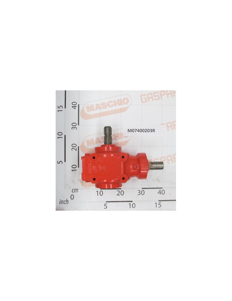 MOLTIPLICATOR GIRAFFA S.I. BO*