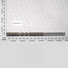 STEM