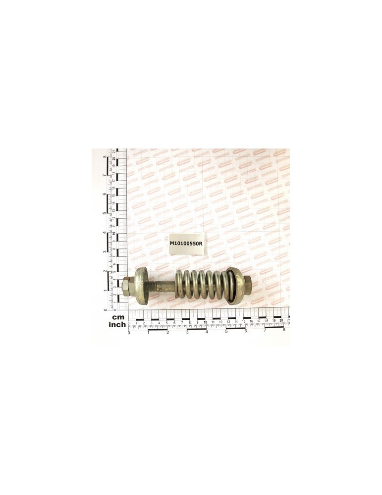PROTECTION SPRING