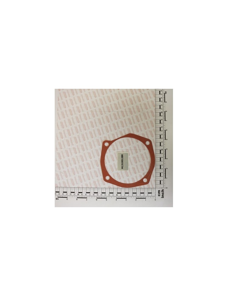 GASKET MM.0,1