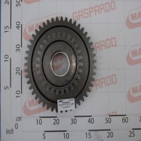 GEAR M-8 Z-27 SFERICAL