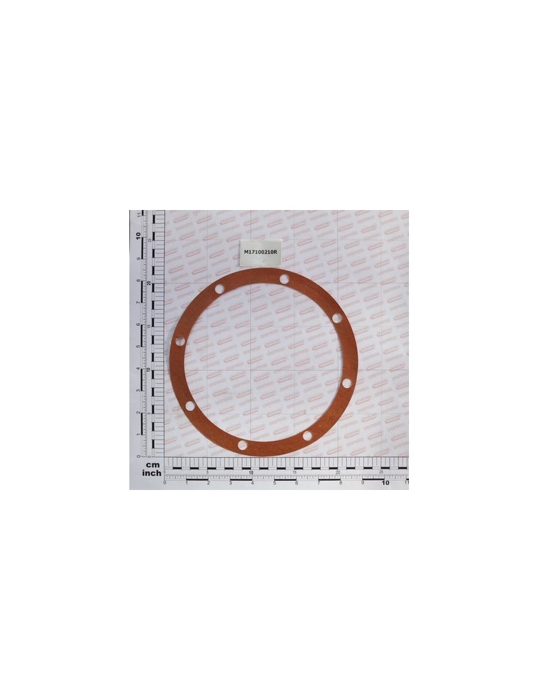 GASKET MM.0,1