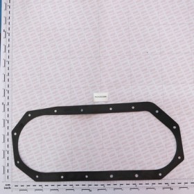 CARTER CHAIN GASKET