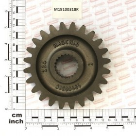 UPPER GEAR Z-24