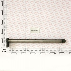 PIN