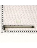 PIN