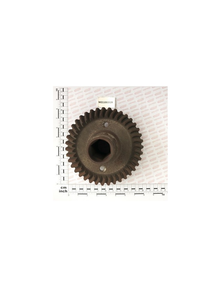 GEAR WITH SHAFT