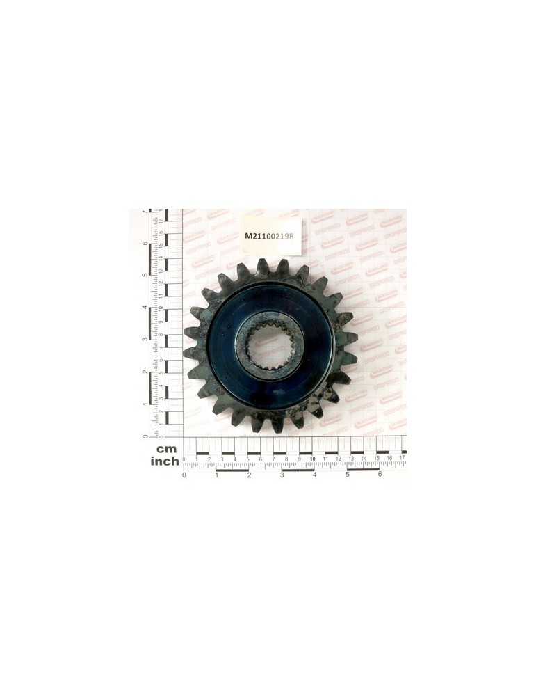 GEARBOX GEAR Z 24 M5