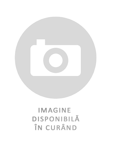 Anvelope Tractoare EVEREST AGRO RADIAL 480/70 R38 TL 145 A8