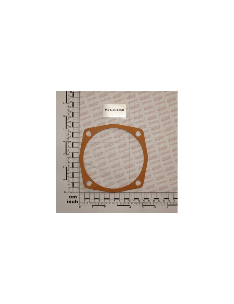 GASKET MM.0,5