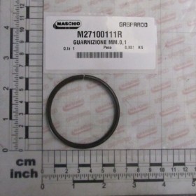 GASKET MM.0,1
