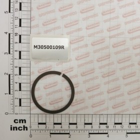 ELASTIC RING  D.50