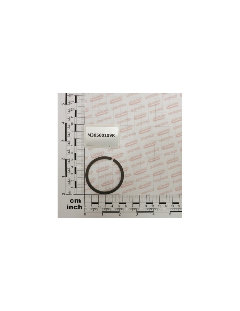 ELASTIC RING  D.50