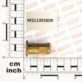 PIN