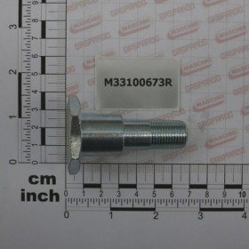 PIN