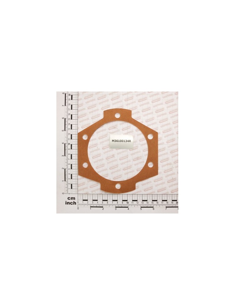 GASKET MM.0,1