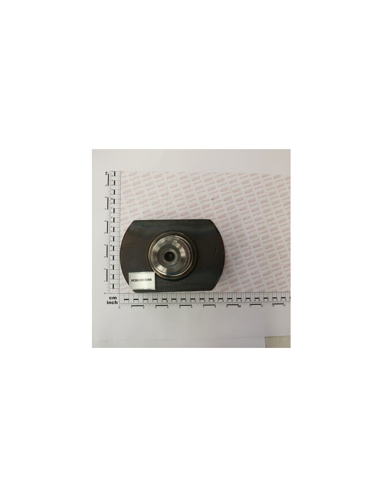 LATERAL BLADE SUPPORT DM