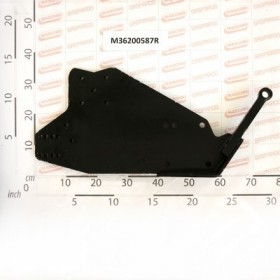 CENTRAL PLATE