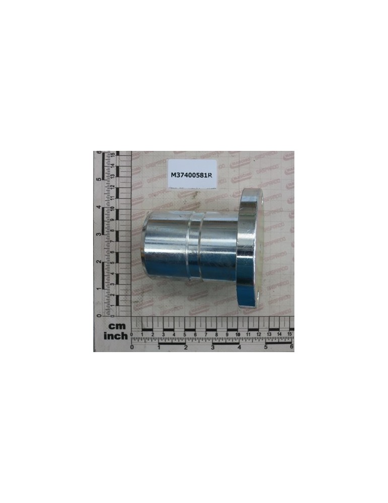 POSTERIOR BOLT