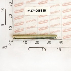 PIN D-36