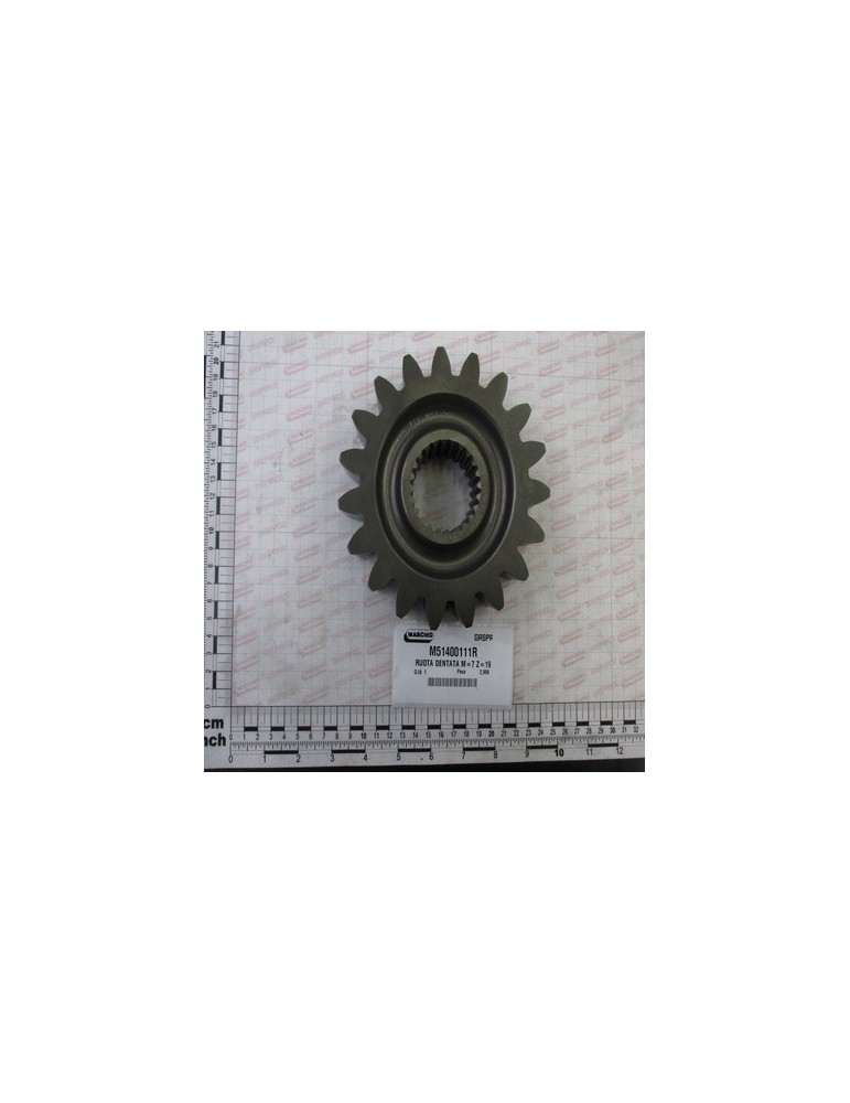 GEAR Z19