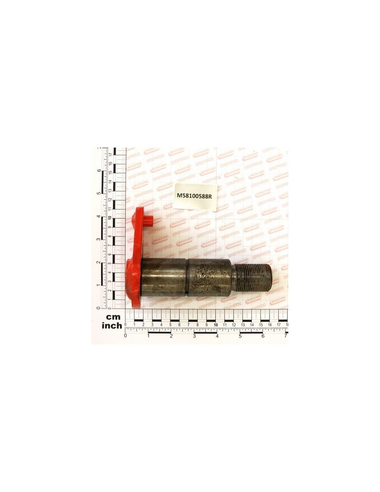 POSTERIOR BOLT