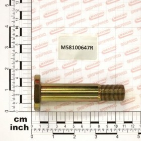 HINGE BOLT