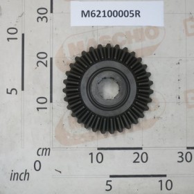 RING GEAR C.Z31M6.4
