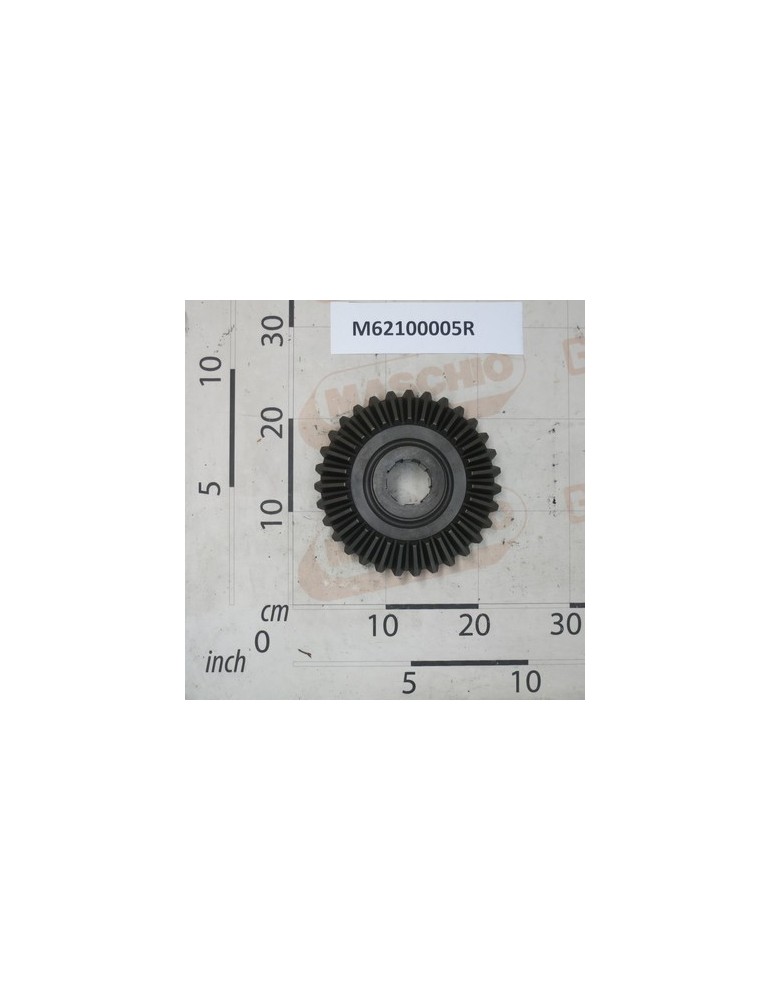 RING GEAR C.Z31M6.4