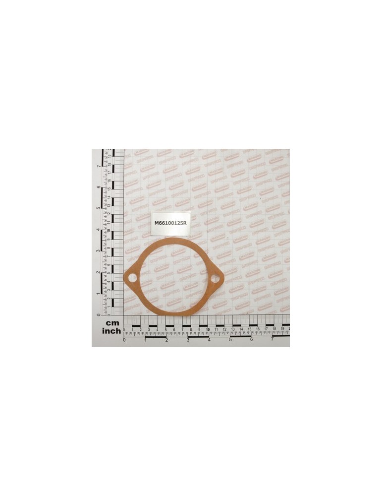 GASKET MM.0,1
