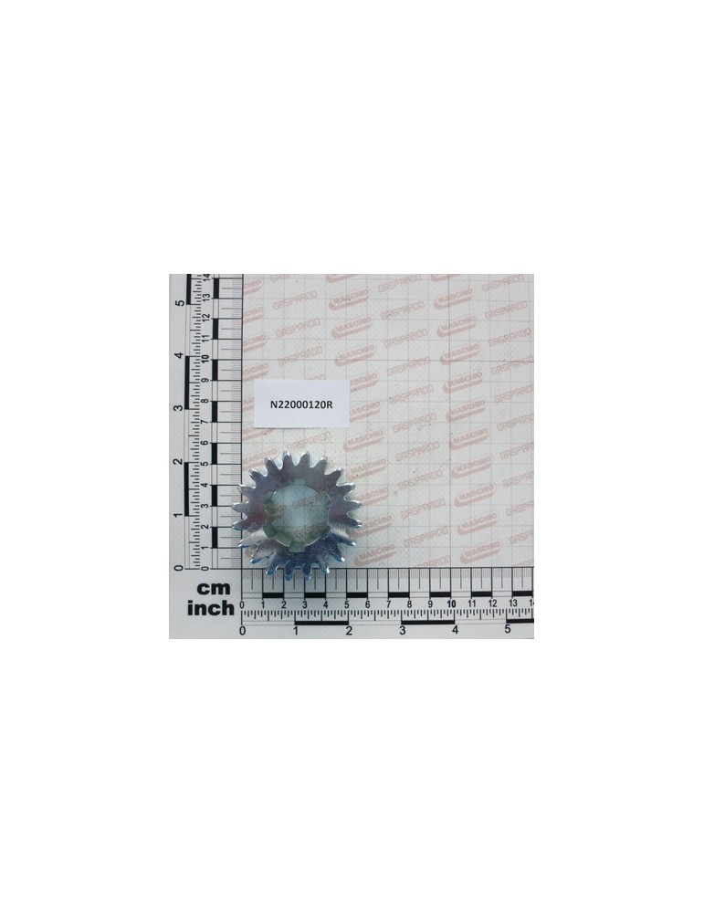 ZINCATE PINION D30