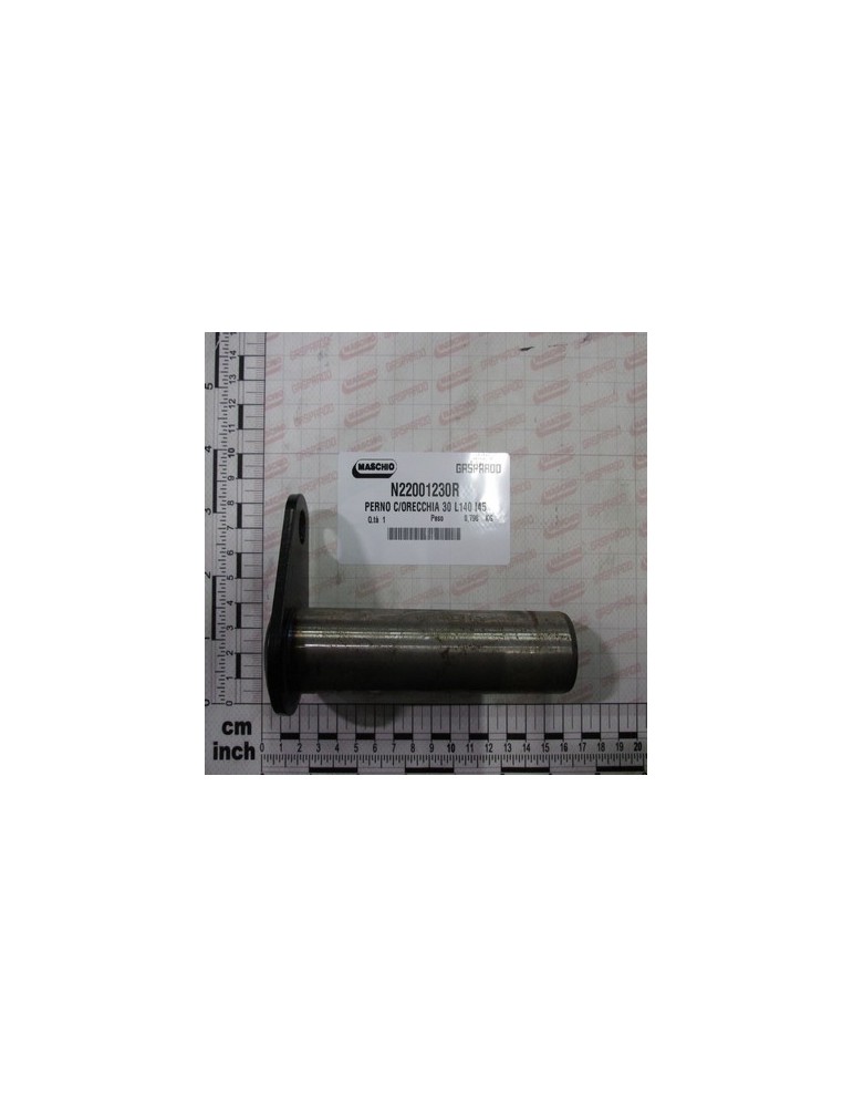 PIN C/ORECCHIA 30 L140 I45