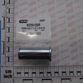 PIN C\\BATT D 25 L 79 M (Z2)