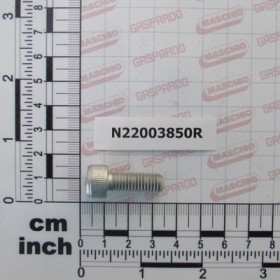 SCREW TCEI U5931 M8X22 8.8