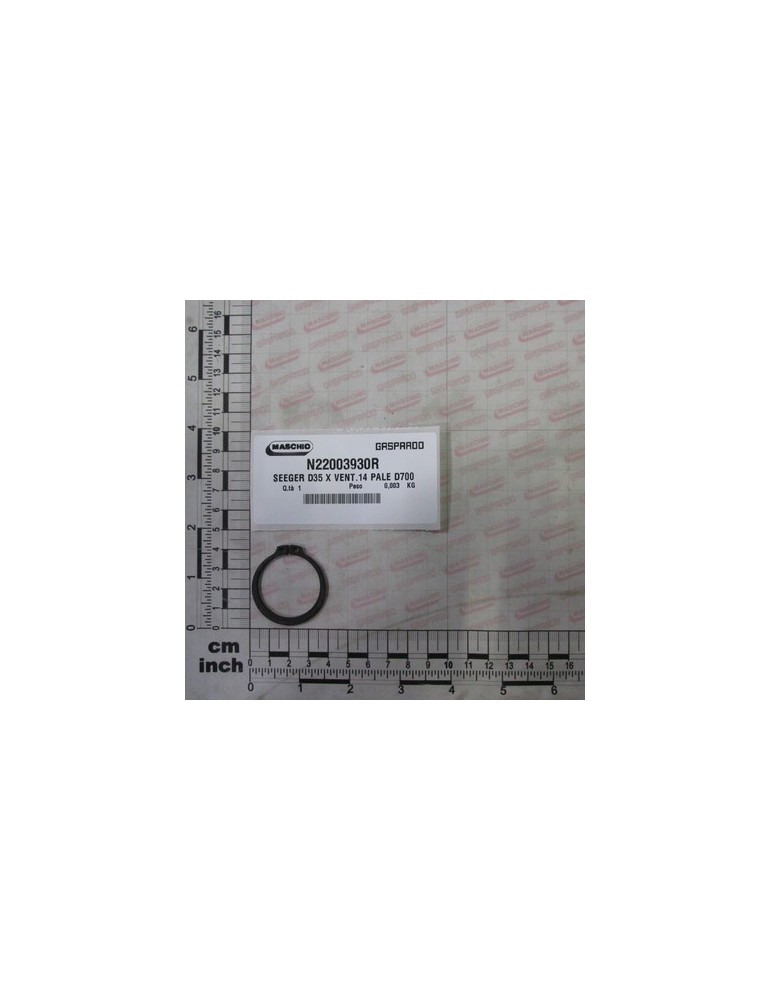 SEEGER D35 X VENT.14 PALE D70